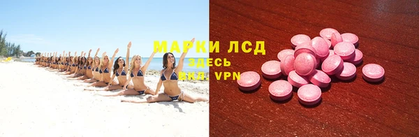 индика Алексин