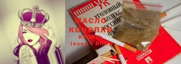 индика Алексин