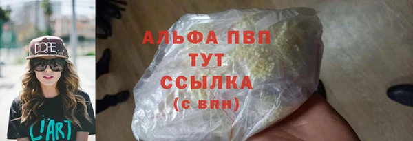 индика Алексин