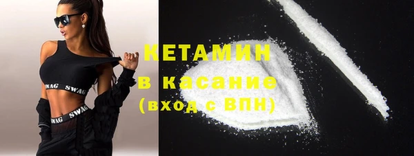 индика Алексин