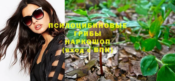 индика Алексин