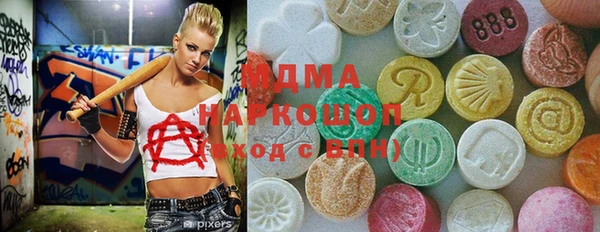 индика Алексин