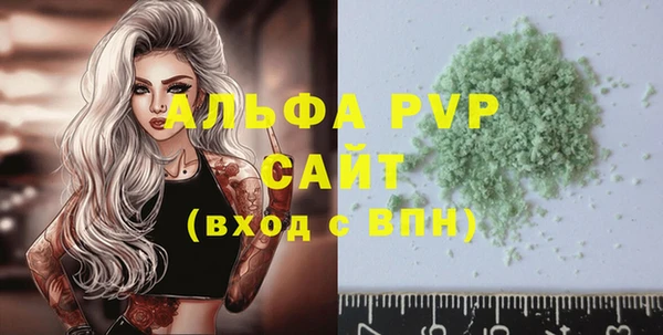 индика Алексин