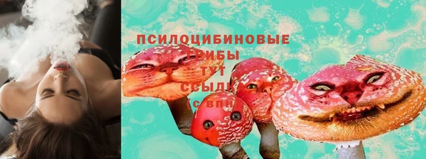 дурь Алексеевка