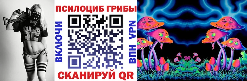 Псилоцибиновые грибы GOLDEN TEACHER  Новодвинск 