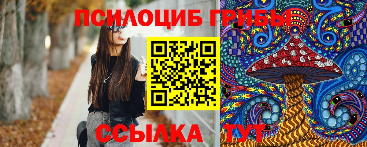 Псилоцибиновые грибы MAGIC MUSHROOMS  Вход с VPN  Новодвинск 