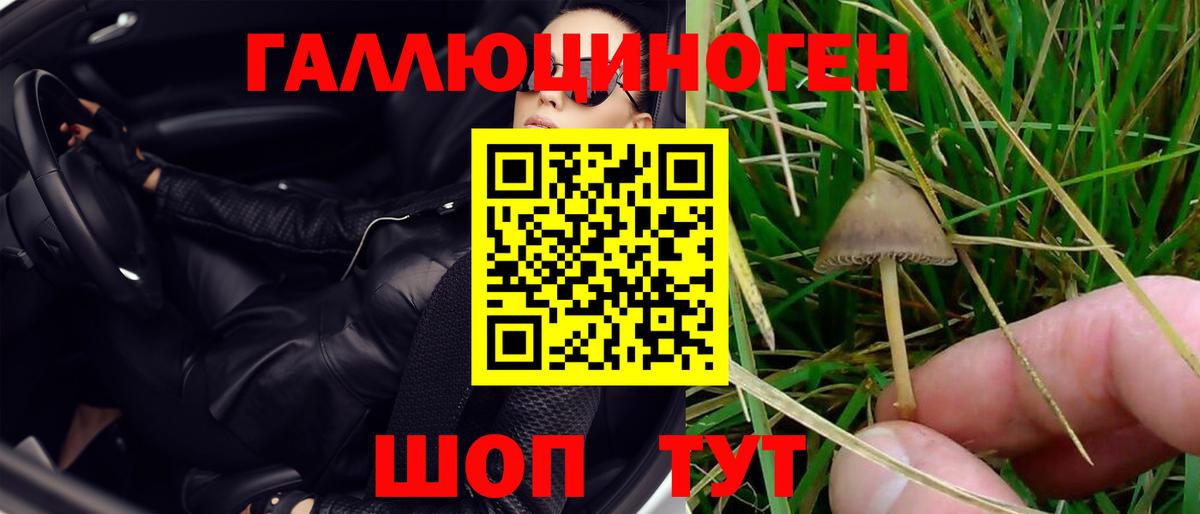 Галлюциногенные грибы мицелий Новодвинск